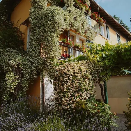 Schindler Aparthotel 3*