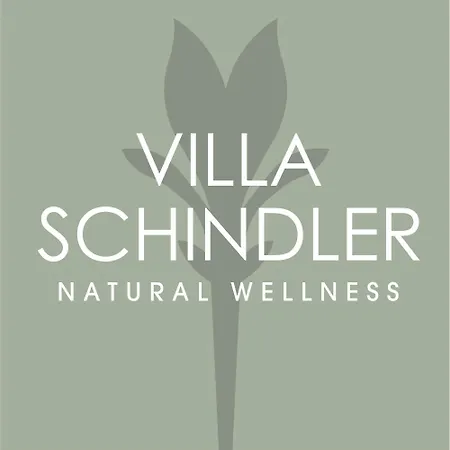 Schindler Manerba del Garda