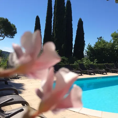 Schindler Appart hôtel Manerba del Garda
